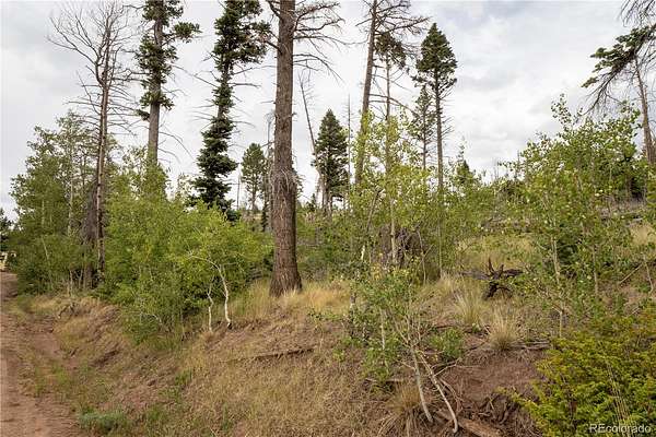 1.58 Acres of Residential Land for Sale in Fort Garland, Colorado