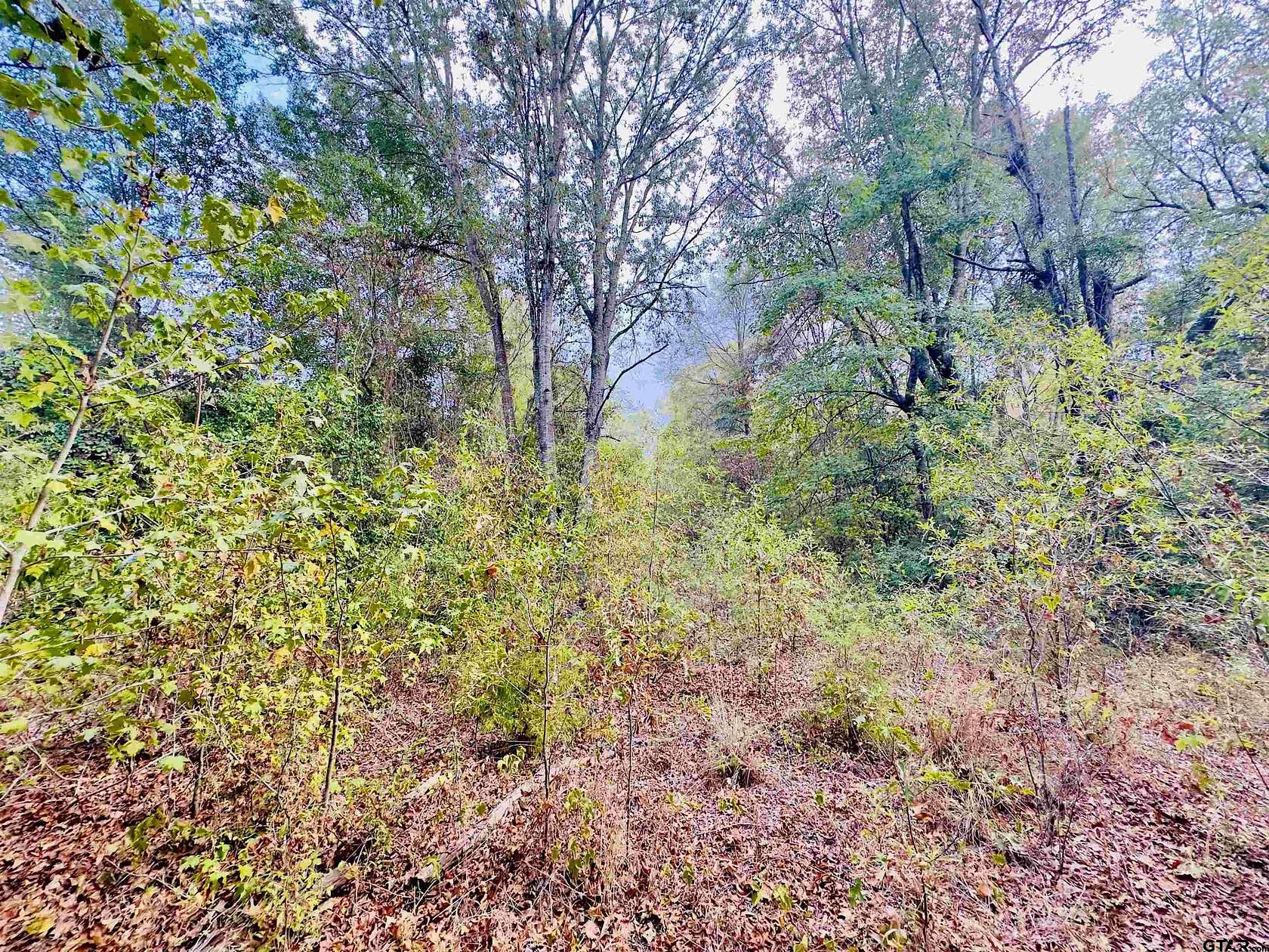 1 Acre of Residential Land for Sale in Gilmer, Texas