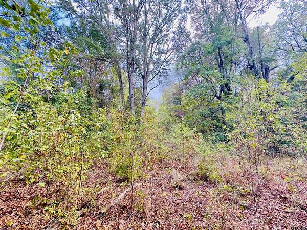 1 Acre of Residential Land for Sale in Gilmer, Texas
