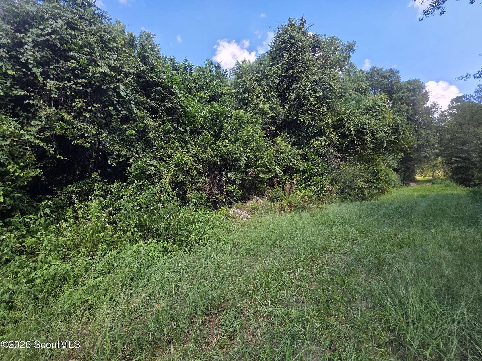 1.1 Acres of Land for Sale in Waycross, Georgia
