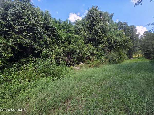 1.1 Acres of Land for Sale in Waycross, Georgia