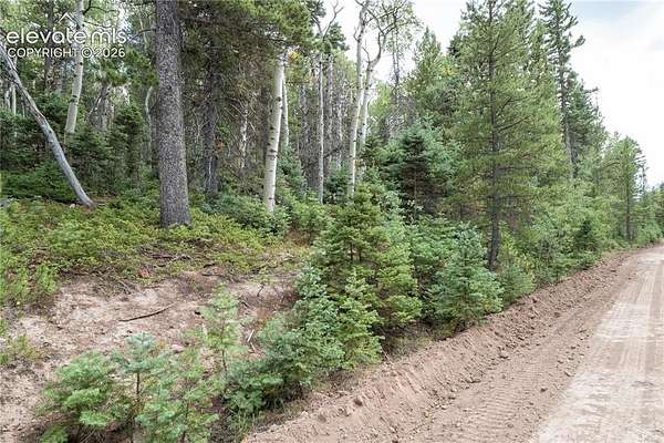 2.37 Acres of Land for Sale in Fort Garland, Colorado