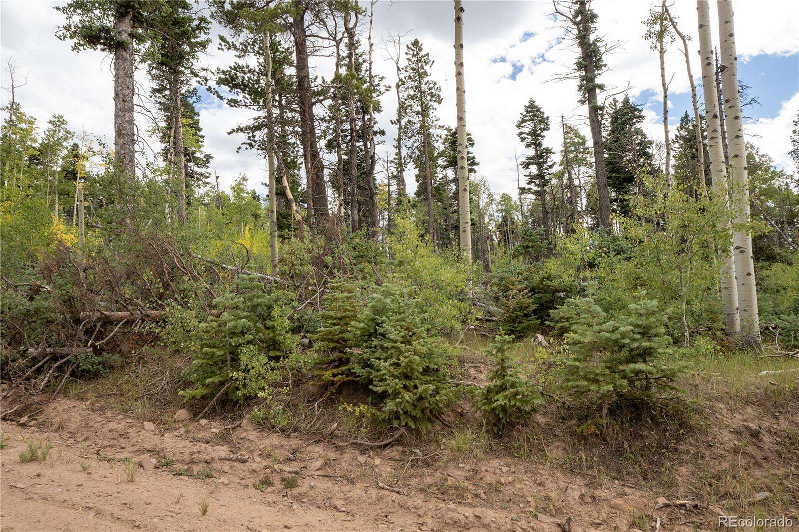2.2 Acres of Residential Land for Sale in Fort Garland, Colorado
