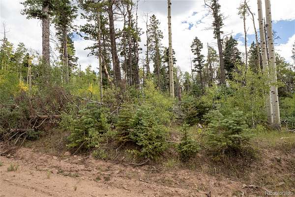 2.2 Acres of Residential Land for Sale in Fort Garland, Colorado