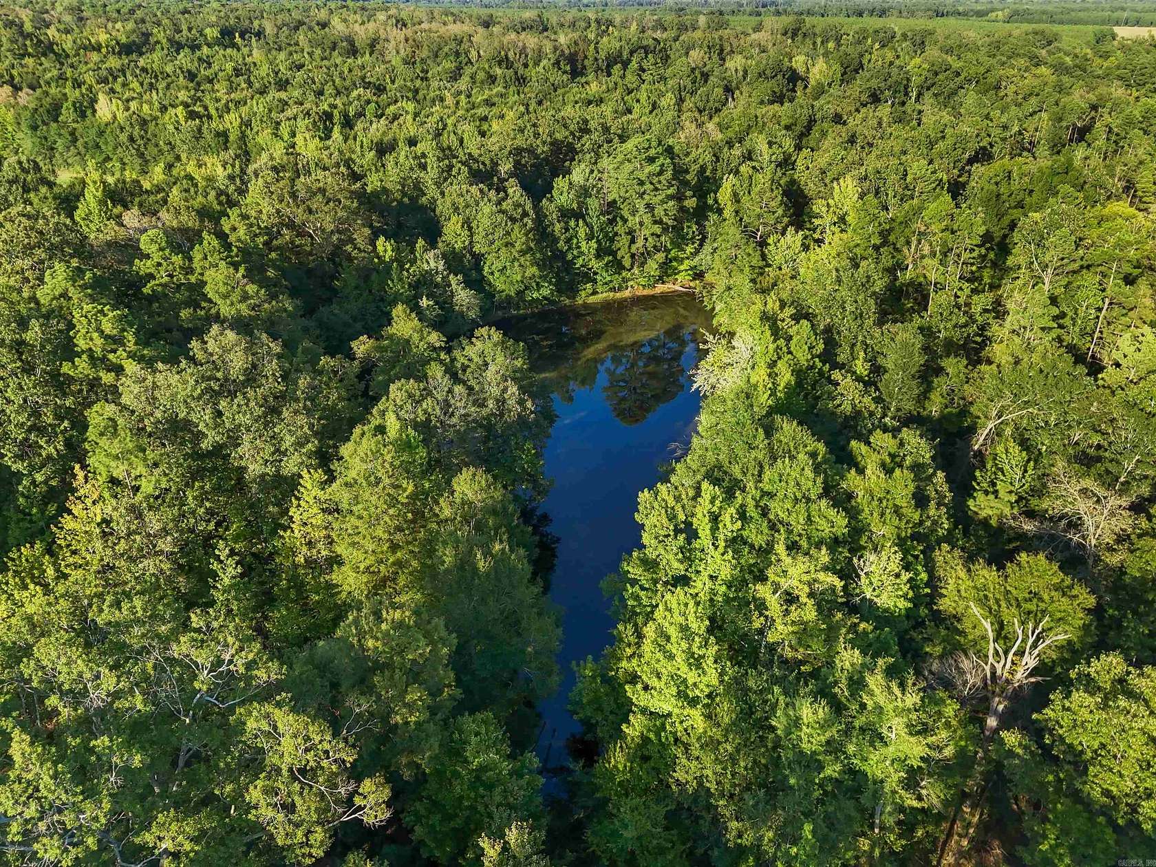 29.8 Acres of Recreational & Residential Land for Sale in Rison, Arkansas