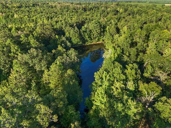 29.8 Acres of Recreational & Residential Land for Sale in Rison, Arkansas