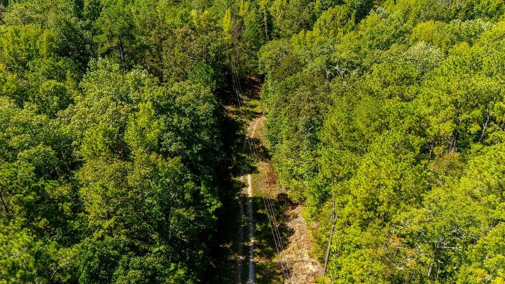 40.4 Acres of Recreational & Residential Land for Sale in Fortson, Georgia