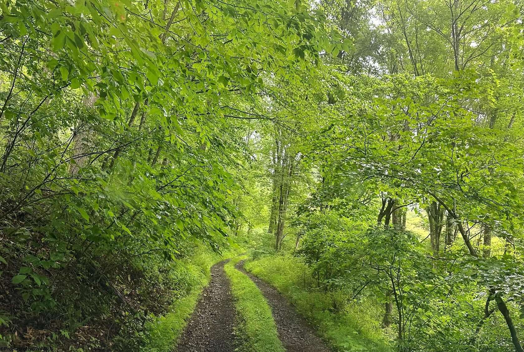 138 Acres of Recreational Land for Sale in Terra Alta, West Virginia