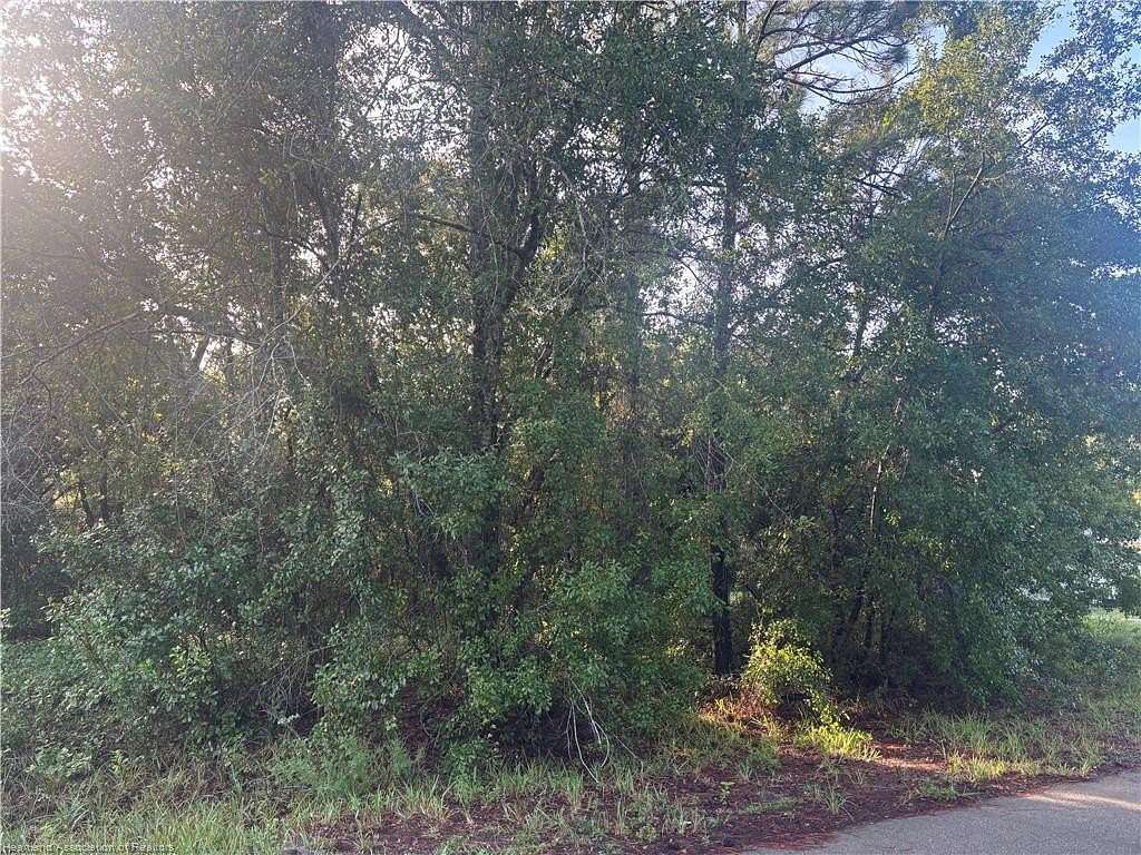 0.23 Acres of Residential Land for Sale in Lake Placid, Florida