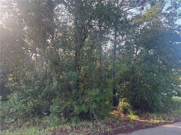 0.23 Acres of Residential Land for Sale in Lake Placid, Florida