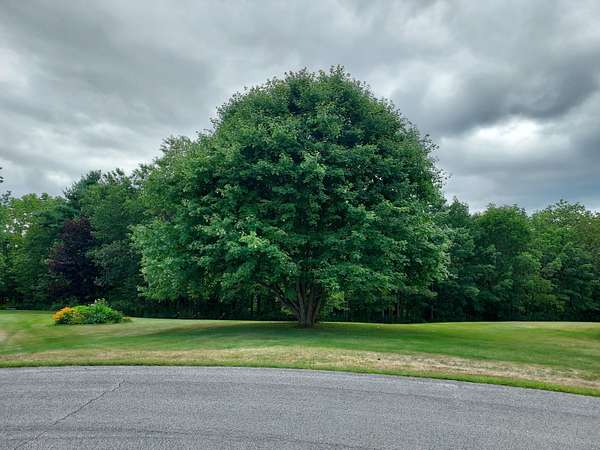 1.66 Acres of Residential Land for Sale in Thomaston, Maine