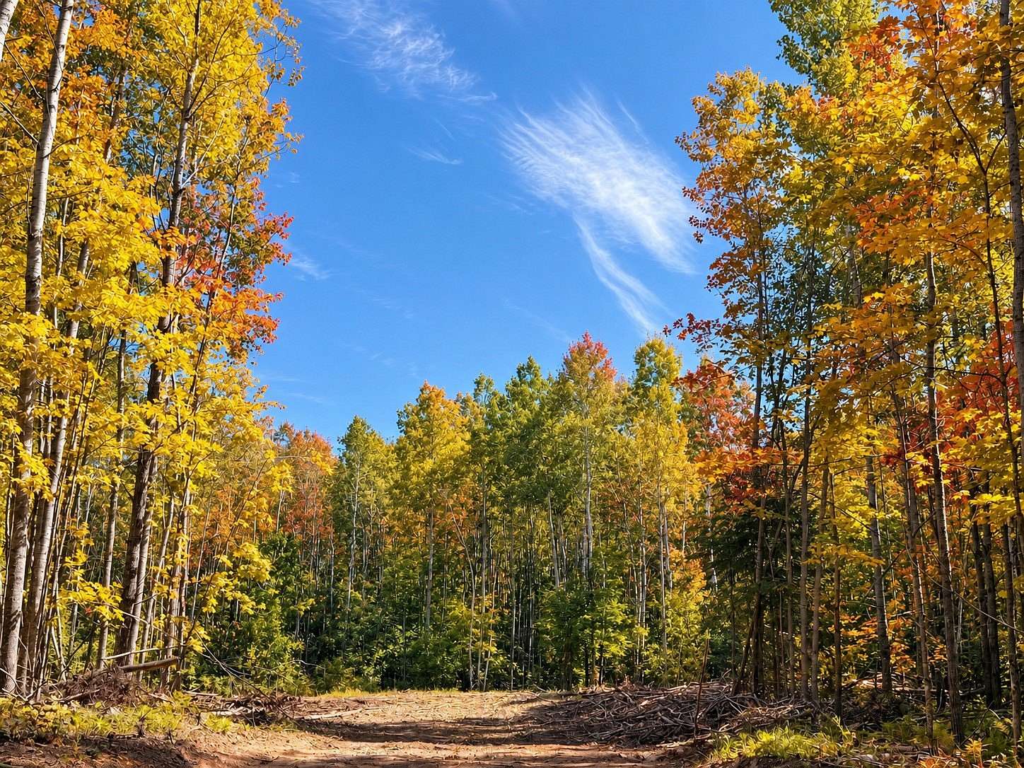 9.42 Acres of Land for Sale in Solon Springs, Wisconsin