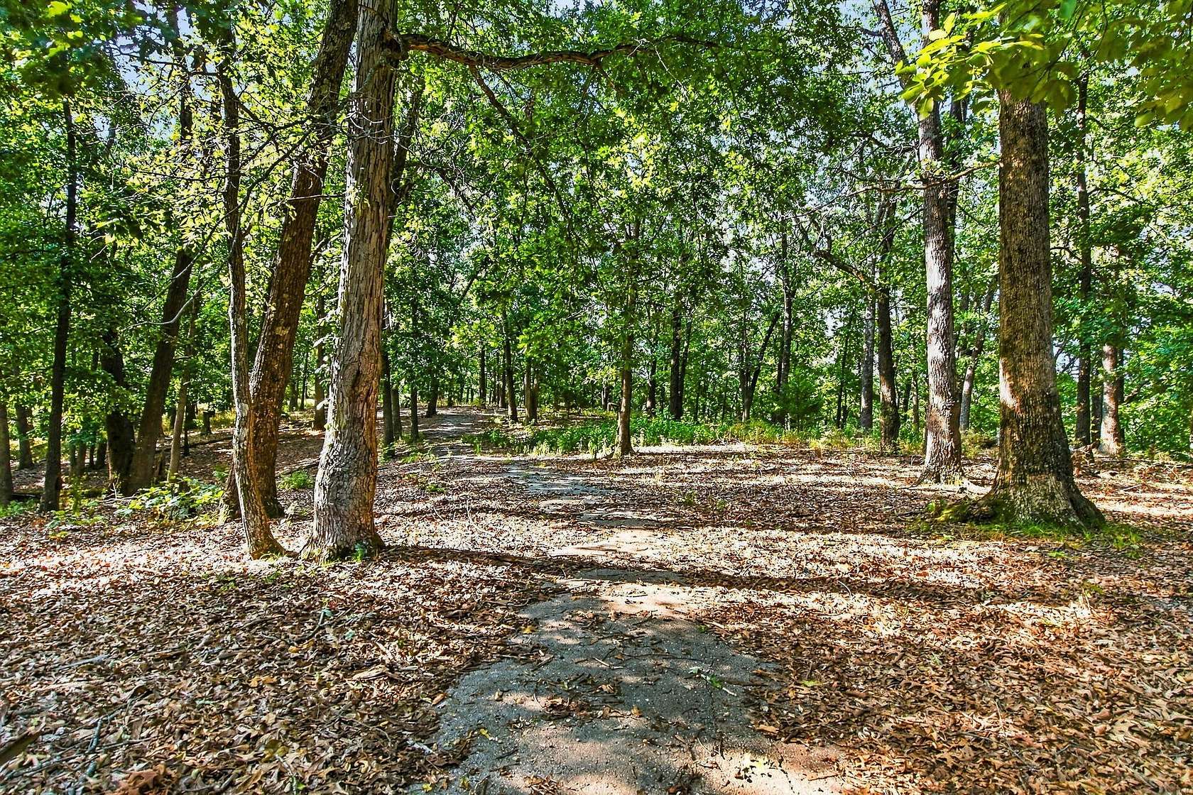 19.9 Acres of Land for Sale in Strafford, Missouri