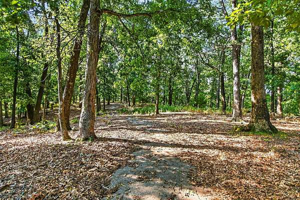 19.9 Acres of Land for Sale in Strafford, Missouri