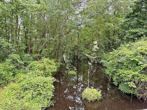 27.3 Acres of Land for Sale in Bennettsville, South Carolina