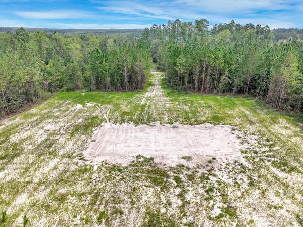14.2 Acres of Recreational Land for Sale in Hortense, Georgia