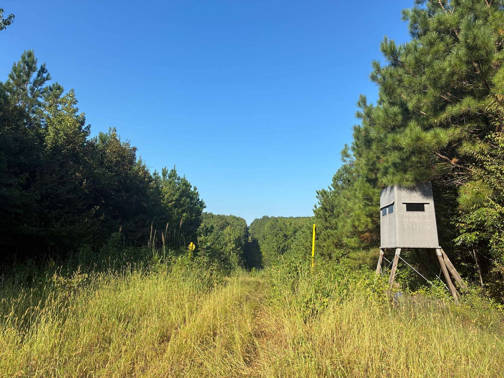 160 Acres of Recreational Land for Sale in Duncanville, Alabama