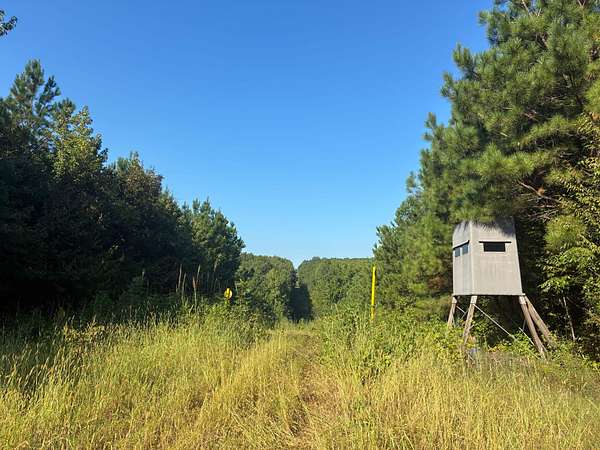 160 Acres of Recreational Land for Sale in Duncanville, Alabama