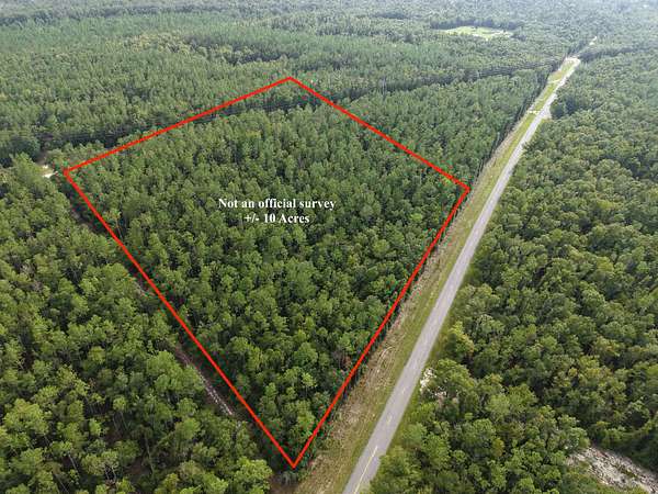 10 Acres of Recreational Land for Sale in Live Oak, Florida
