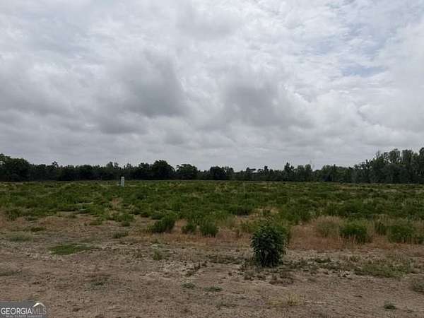 5.46 Acres of Residential Land for Sale in Garfield, Georgia