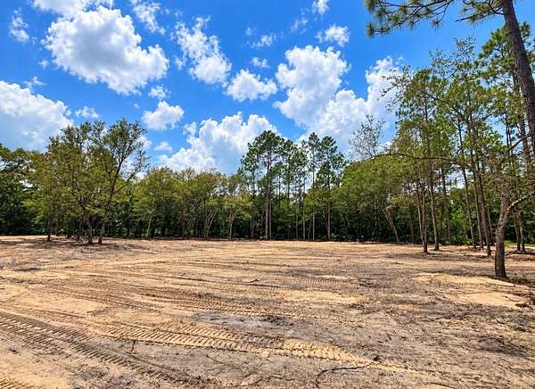 1.25 Acres of Residential Land for Sale in Bronson, Florida