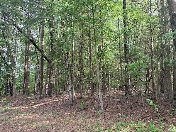 1 Acre of Residential Land for Sale in Boydton, Virginia