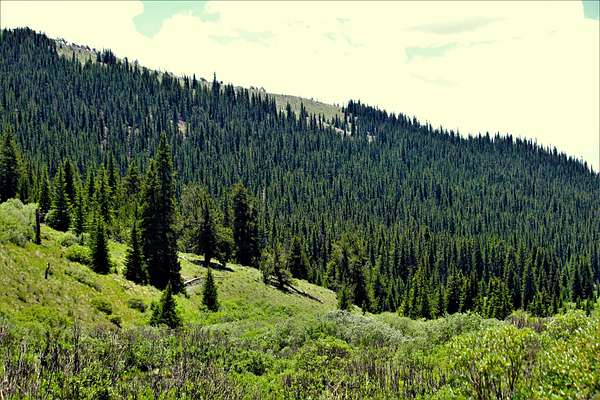 48 Acres of Recreational Land for Sale in Fairplay, Colorado