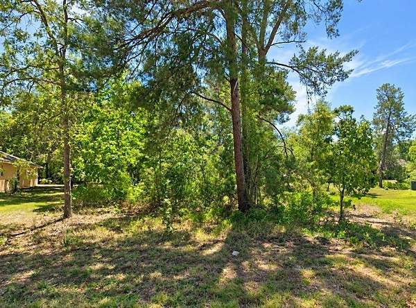 0.28 Acres of Residential Land for Sale in Homosassa, Florida