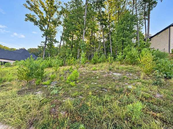 0.41 Acres of Residential Land for Sale in Little Rock, Arkansas