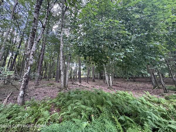 0.46 Acres of Residential Land for Sale in Albrightsville, Pennsylvania