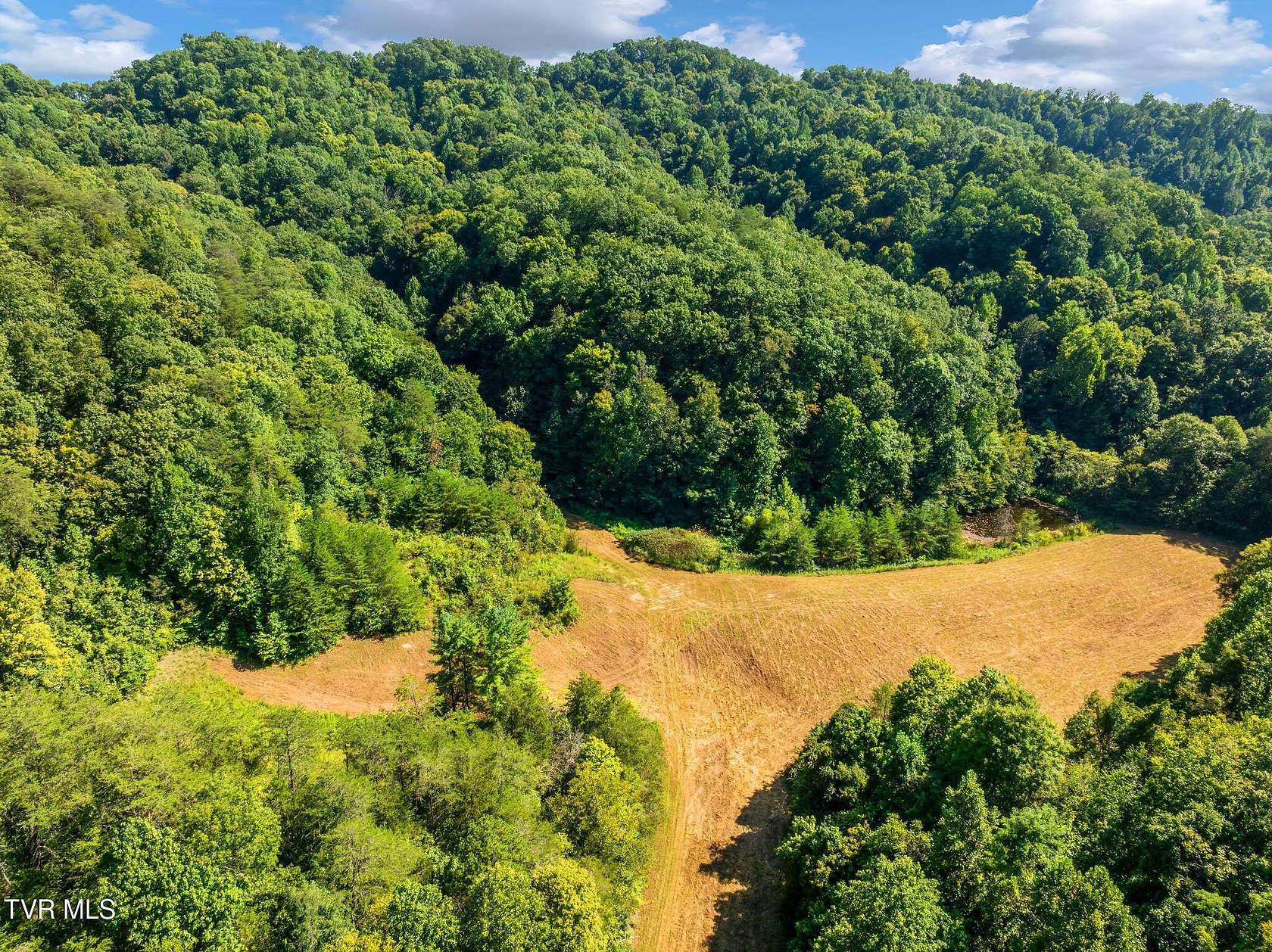 97 Acres of Recreational & Residential Land for Sale in Greeneville, Tennessee