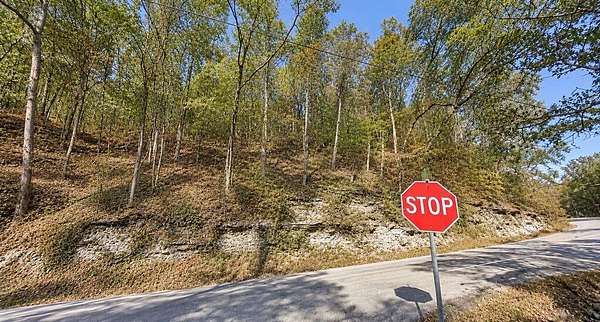 9.3 Acres of Mixed-Use Land for Sale in Pikeville, Kentucky