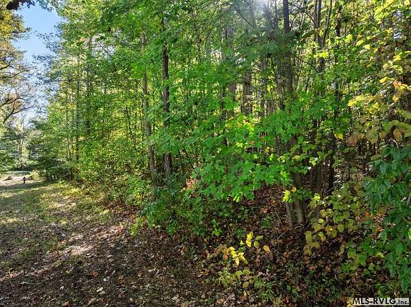 2.1 Acres of Residential Land for Sale in Lawrenceville, Virginia