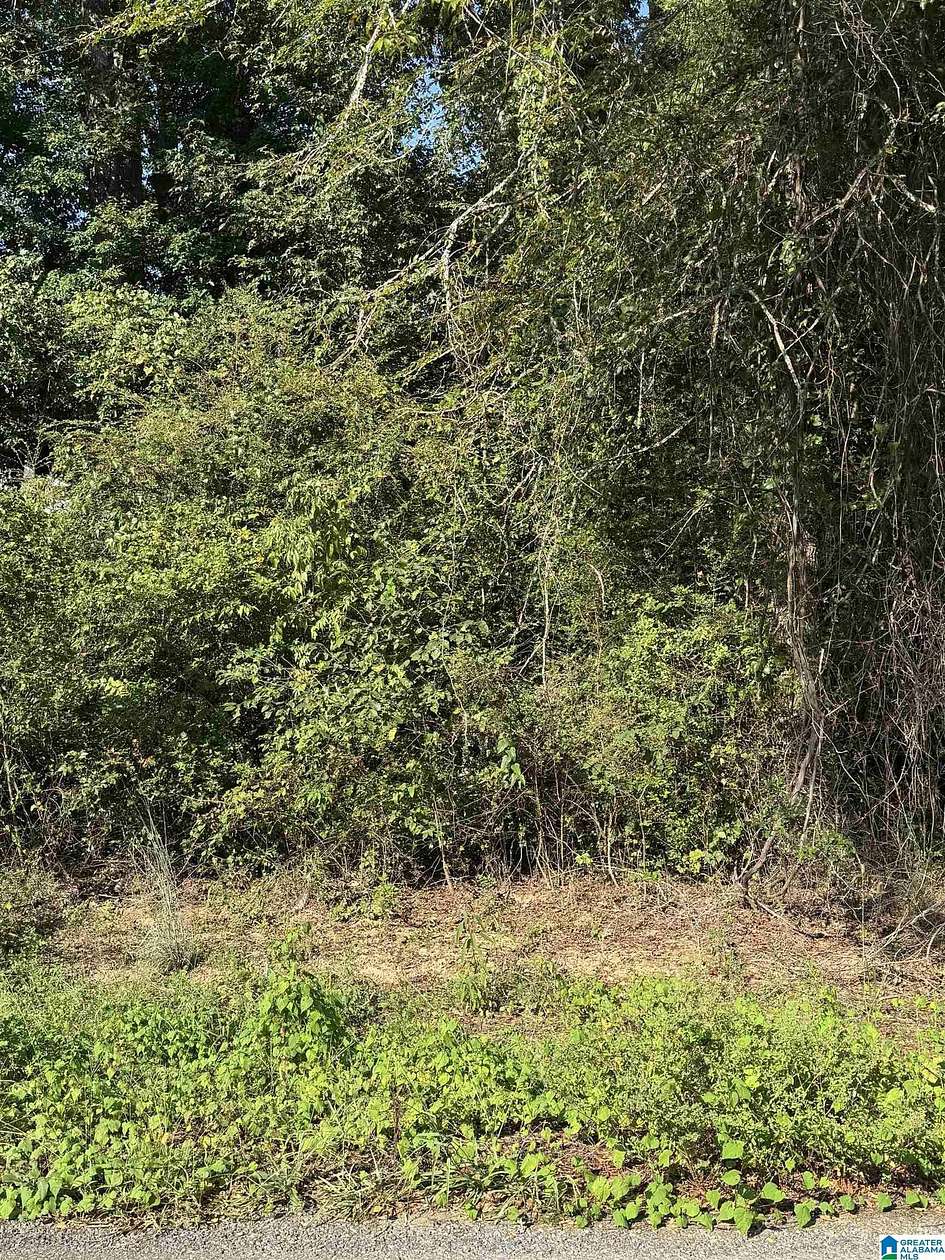 5 Acres of Residential Land for Sale in Talladega, Alabama