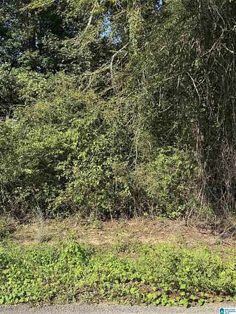 5 Acres of Residential Land for Sale in Talladega, Alabama
