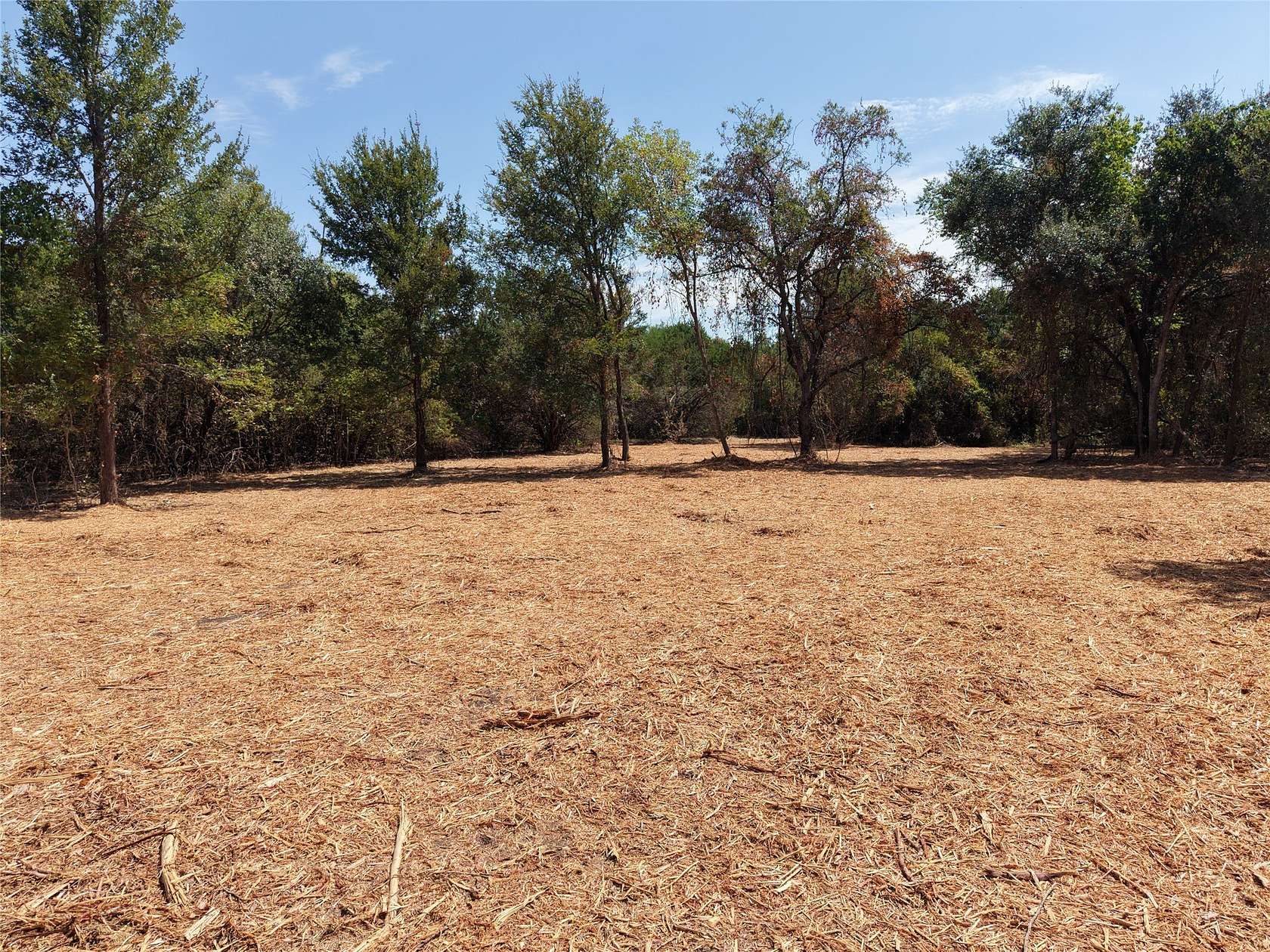 16.3 Acres of Recreational & Residential Land for Sale in Clifton, Texas