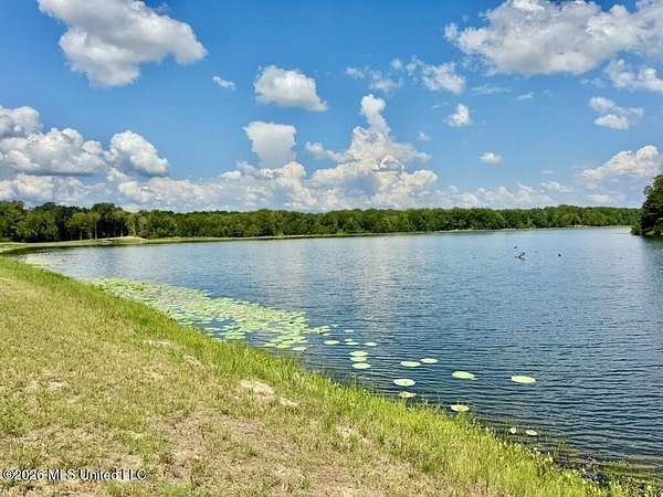 114 Acres of Land for Sale in Flora, Mississippi