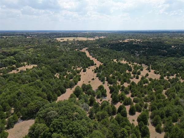 25 Acres of Recreational & Residential Land for Sale in Celeste, Texas