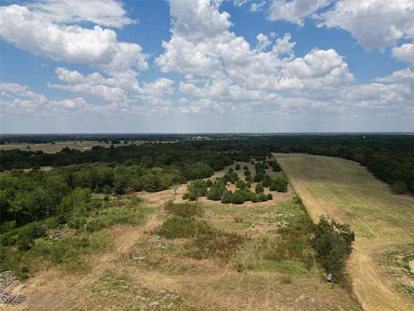 50 Acres of Recreational & Residential Land for Sale in Celeste, Texas