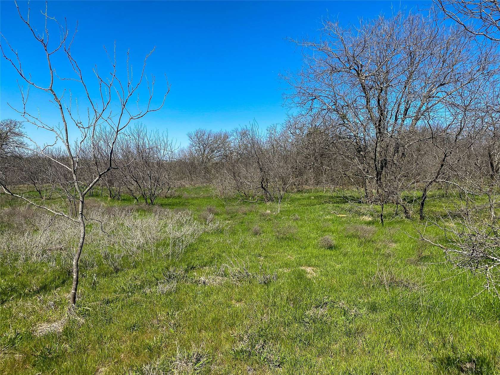 8 Acres of Residential Land for Sale in Joshua, Texas