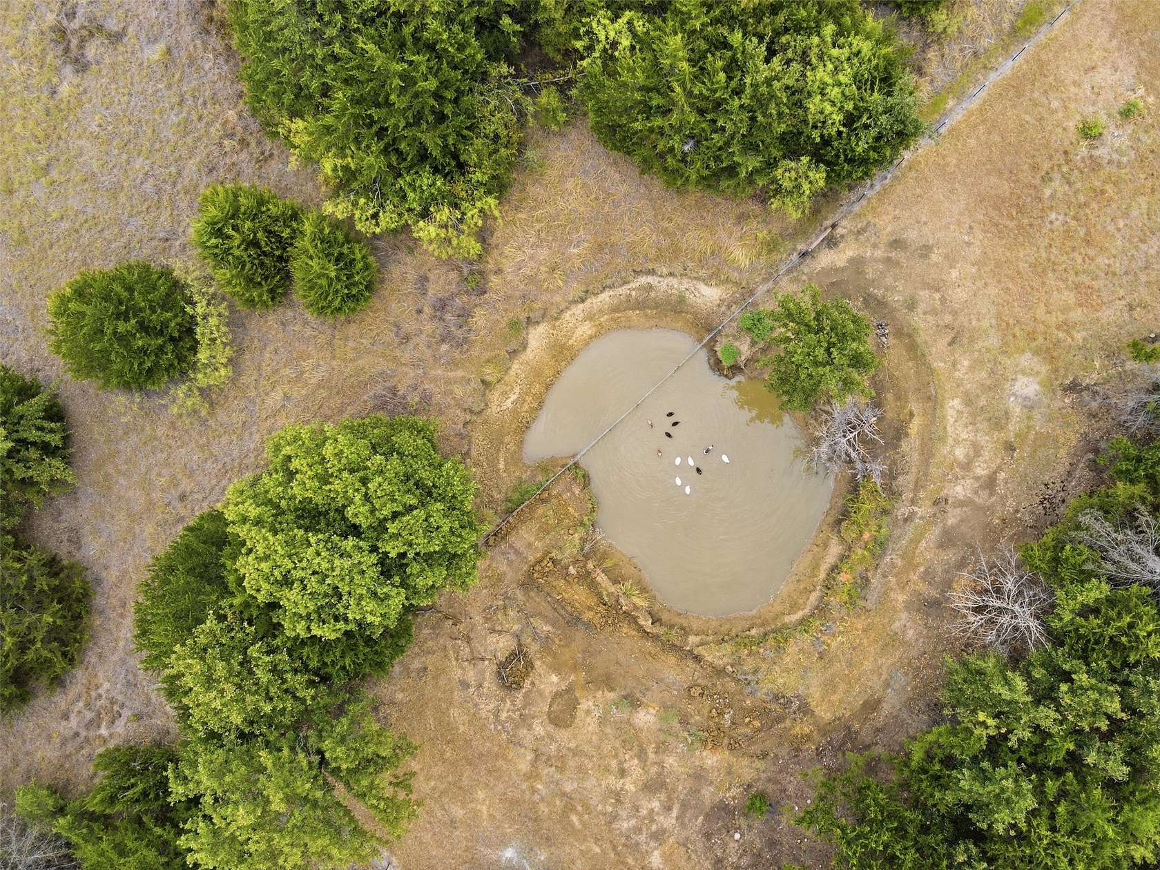 10.1 Acres of Land for Sale in Covington, Texas