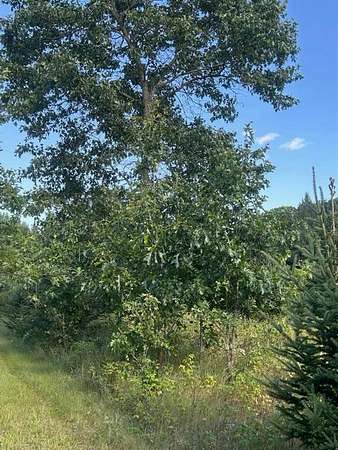 15.1 Acres of Land for Sale in Waupaca, Wisconsin