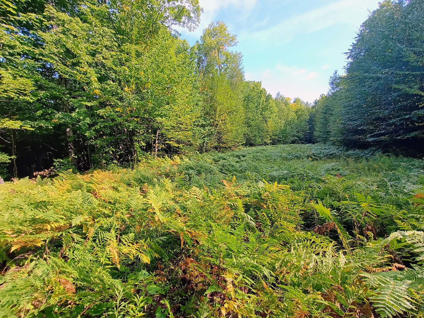 283 Acres of Land for Sale in Hurley, Wisconsin