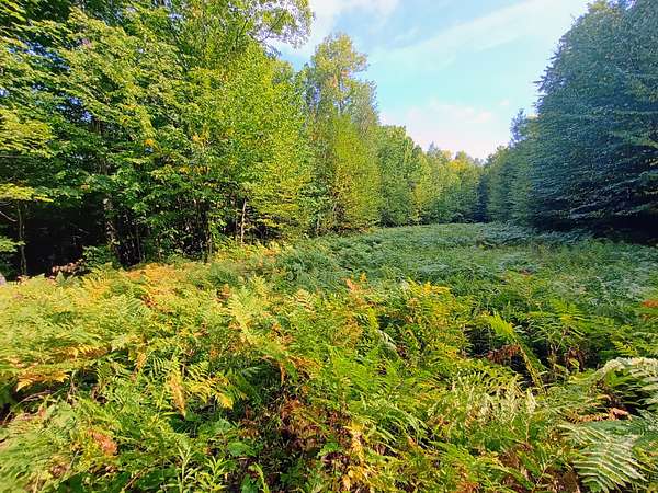 283 Acres of Land for Sale in Hurley, Wisconsin