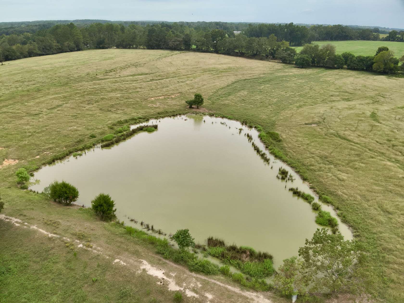 9 Acres of Land for Sale in Samson, Alabama