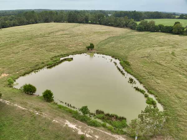 9 Acres of Land for Sale in Samson, Alabama