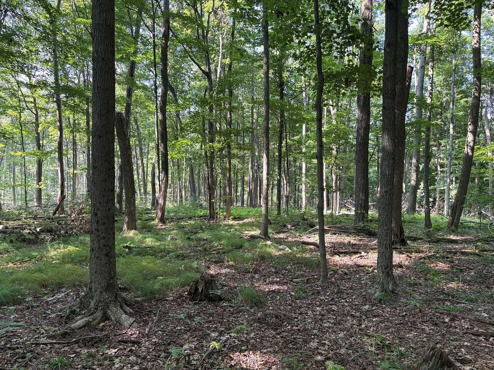 10 Acres of Recreational & Residential Land for Sale in DuBois, Pennsylvania