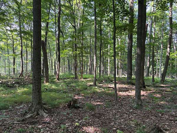 10 Acres of Recreational & Residential Land for Sale in DuBois, Pennsylvania