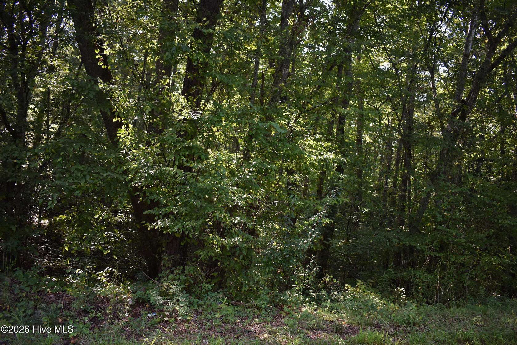 6.7 Acres of Residential Land for Sale in Murphy, North Carolina
