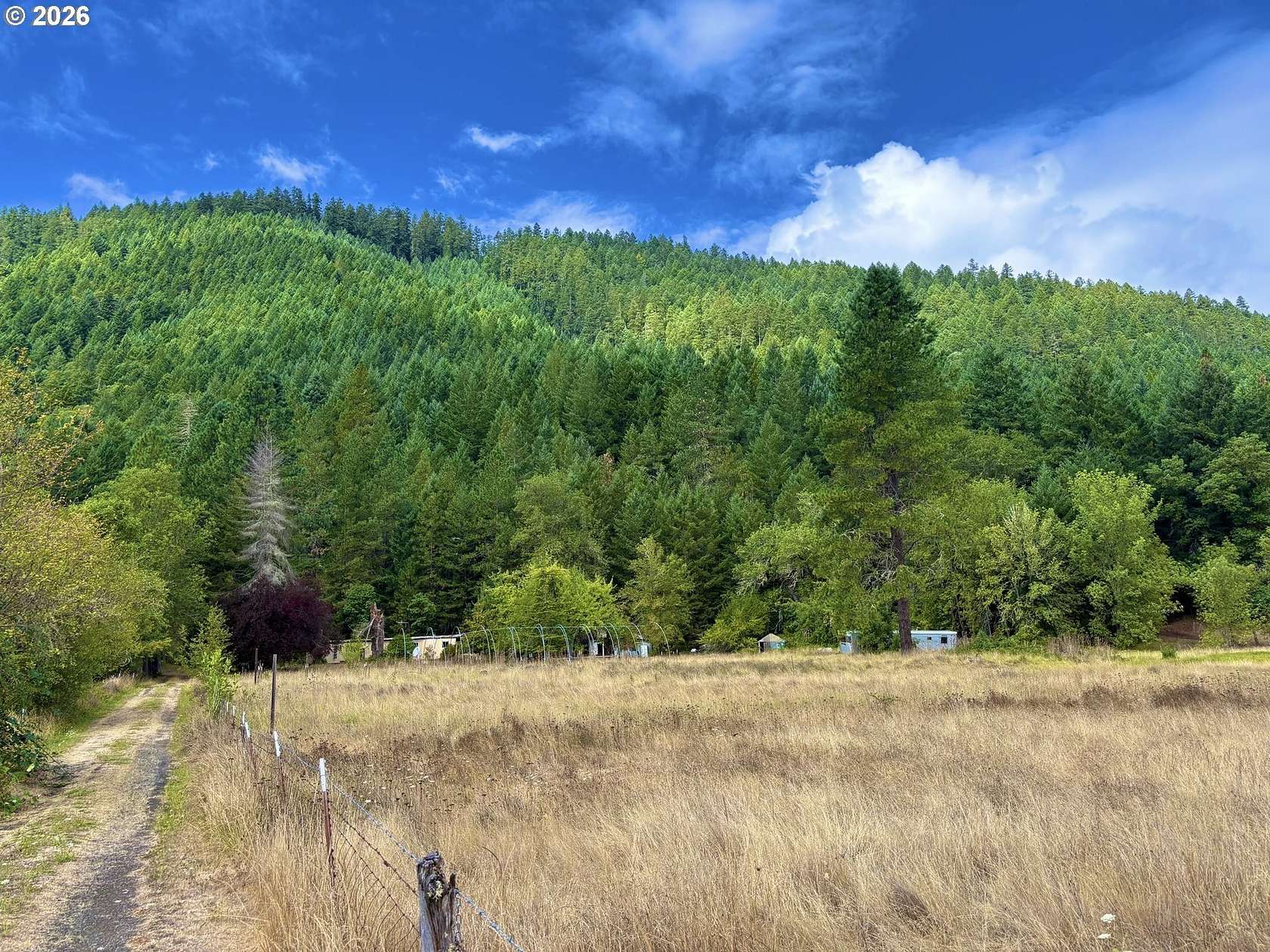 21.8 Acres of Land for Sale in Azalea, Oregon